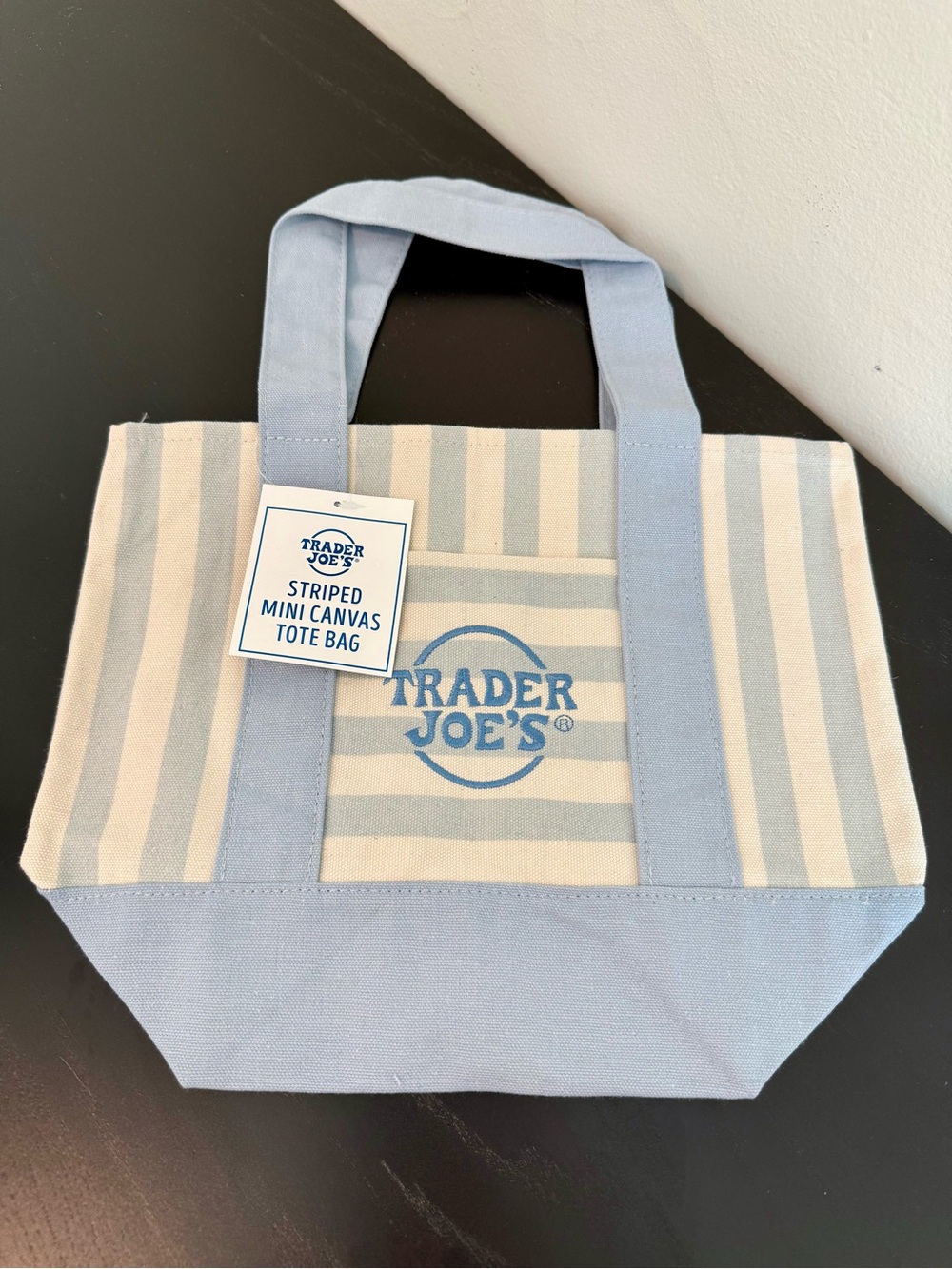 Trader Joe's Light Blue and Cream Striped Mini Canvas Tote